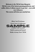 tiktok famous blueprint